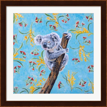 Framed Koala Print