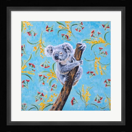 Framed Koala Print