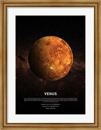 Framed Venus Print