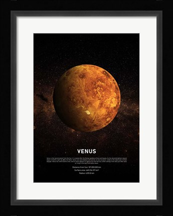 Framed Venus Print