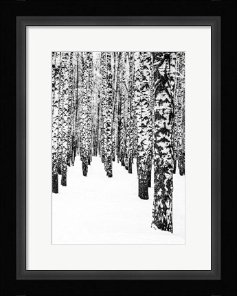 Framed White Edition 2 Print