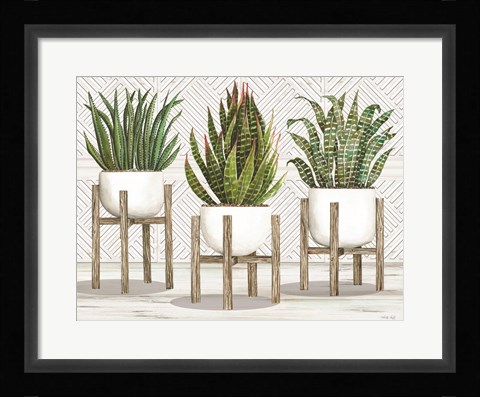 Framed Succulent Trio on Stands Print