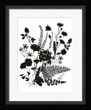 Framed Inked Flowers Print