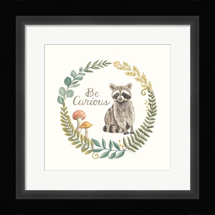Framed Be Curious Raccoon Print