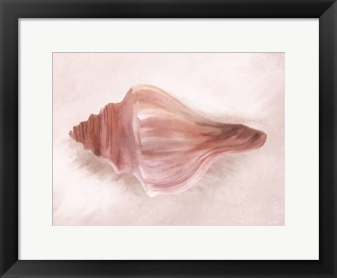 Framed Conch Shell Blush I Print