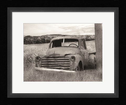 Framed Rustic Charm II Print