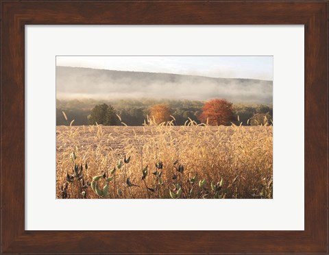 Framed Autumn Shades Print