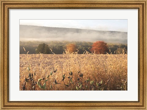 Framed Autumn Shades Print