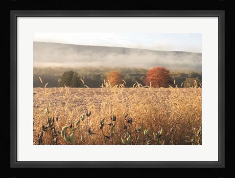 Framed Autumn Shades Print