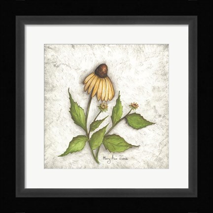 Framed Bloomin' Coneflowers Print