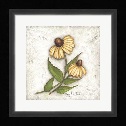 Framed Yellow Coneflowers Print