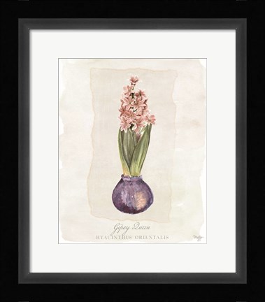 Framed Hyacinthus Orientalis II Print