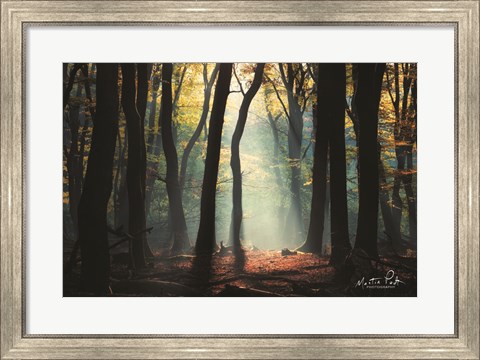 Framed Forest Blues Print