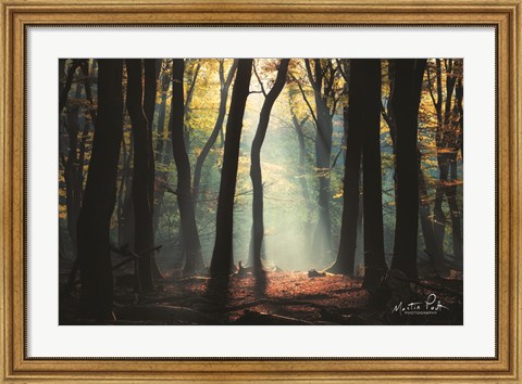 Framed Forest Blues Print