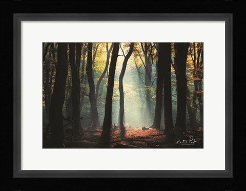 Framed Forest Blues Print