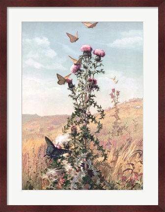 Framed Meadow Butterflies Print