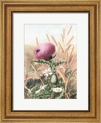 Framed Meadow Flowers 1 Print