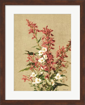 Framed Meadow Flowers 2 Print
