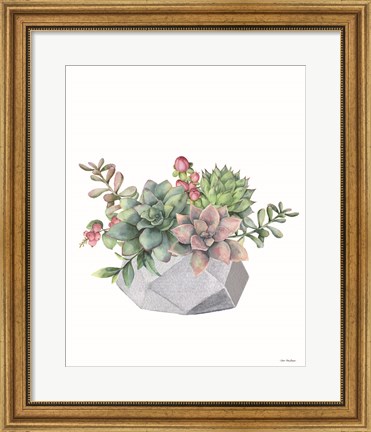 Framed Watercolor Succulents Print