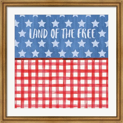 Framed Americana Style VI Print
