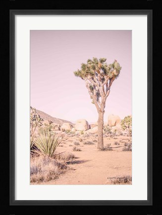 Framed Joshua Tree III Blush Print