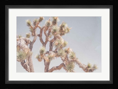 Framed Desert Floral I Print