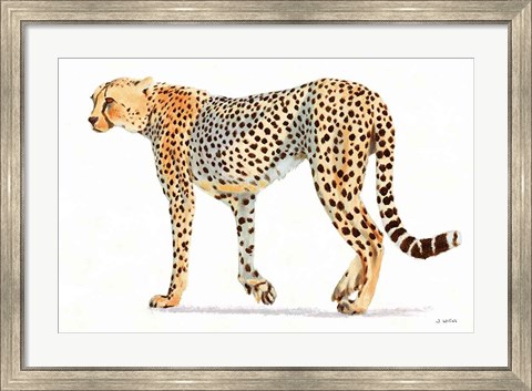Framed Wild and Free VII Bold Print