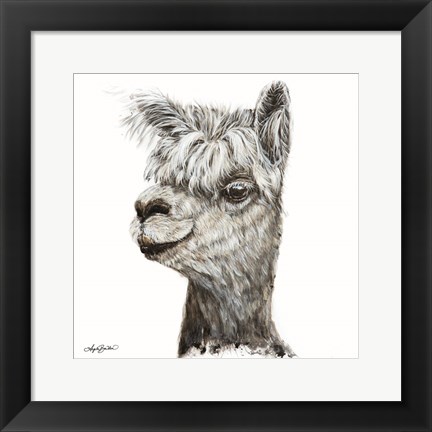 Framed Alphie the Alpaca Print