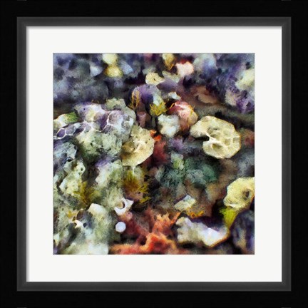 Framed Sea Life II Print