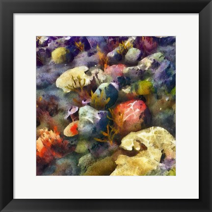 Framed Sea Life III Print