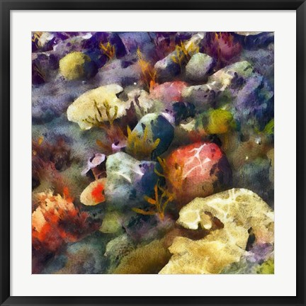 Framed Sea Life III Print