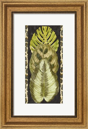 Framed Tropic Collection IV Print