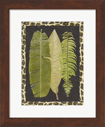 Framed Tropic Collection VI Print