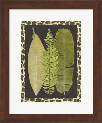 Framed Tropic Collection VII Print