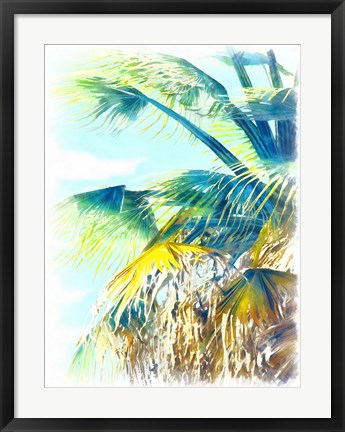 Framed Tropical Glow II Print