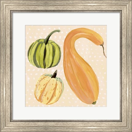 Framed Decorative Gourd I Print