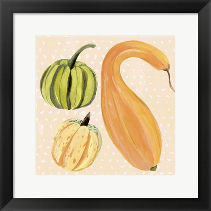 Framed Decorative Gourd I Print