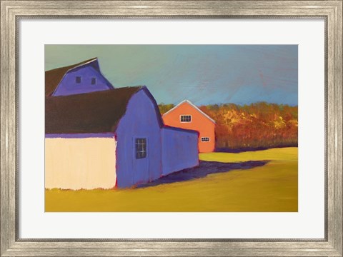 Framed Bucolic Structure VII Print