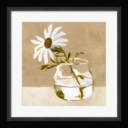 Framed Solitary Daisy I Print