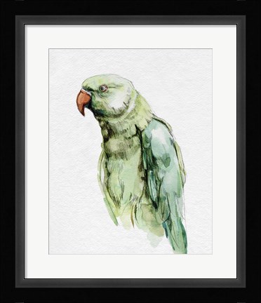Framed Bright Parrot Portrait I Print