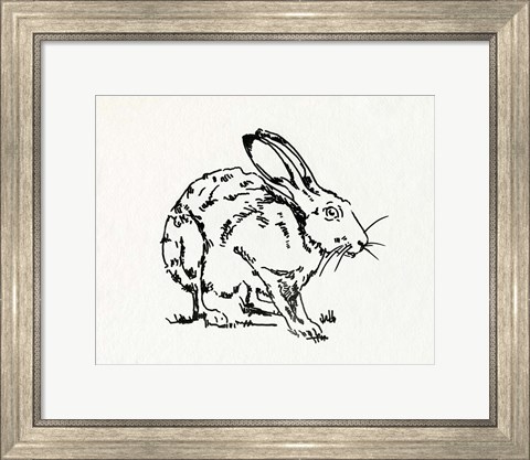 Framed Resting Hare II Print