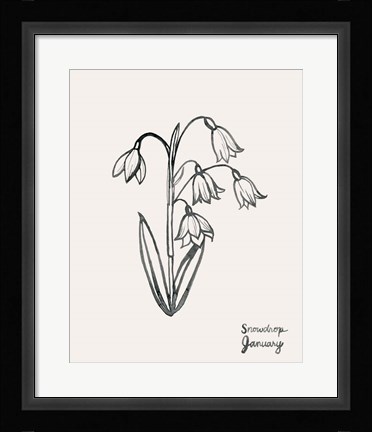 Framed Annual Flowers I Print