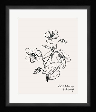 Framed Annual Flowers II Print