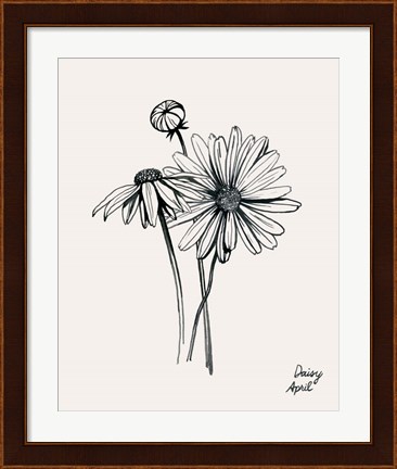 Framed Annual Flowers IV Print