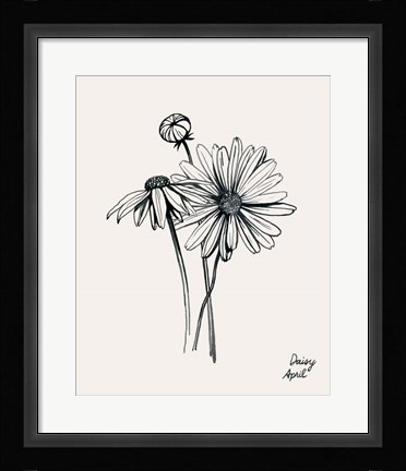 Framed Annual Flowers IV Print