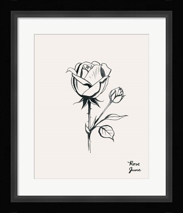 Framed Annual Flowers VI Print