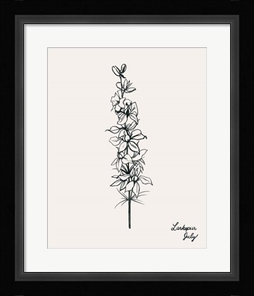 Framed Annual Flowers VII Print