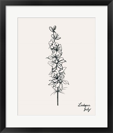 Framed Annual Flowers VII Print
