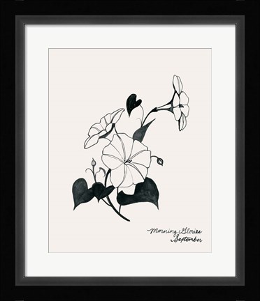Framed Annual Flowers IX Print