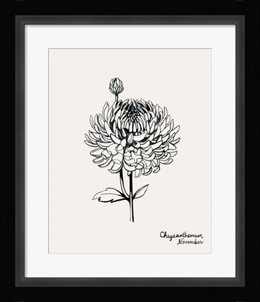 Framed Annual Flowers XI Print